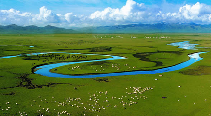 濕地生態系統的重要作用