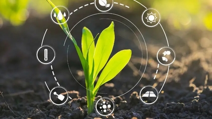 菜東家官網資源全解析 賦能農業(yè)產業(yè)鏈的數(shù)字新生態(tài)